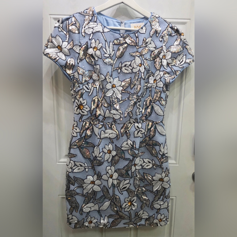 NWT Milly Rowen Silver Floral Sequins Mini Dress Size 12 - Picture 6 of 16
